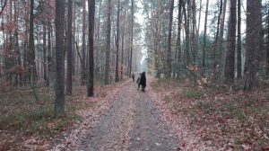jędrusie 2017 01